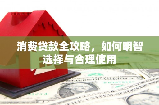 台西消费贷款全攻略，如何明智选择与合理使用