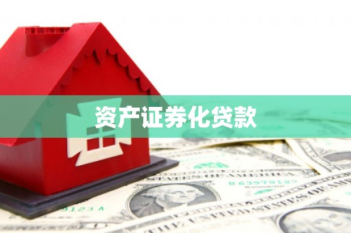 台西资产证券化贷款