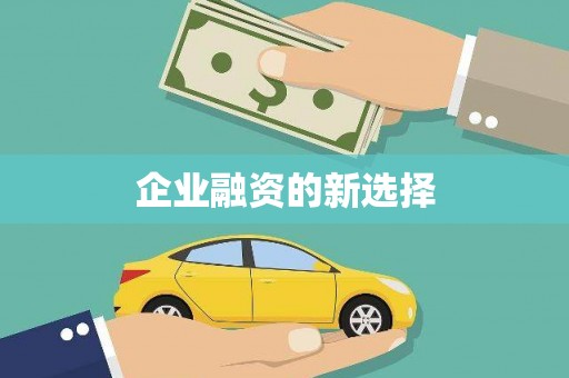 台西企业融资的新选择