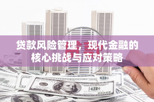 台西贷款风险管理，现代金融的核心挑战与应对策略