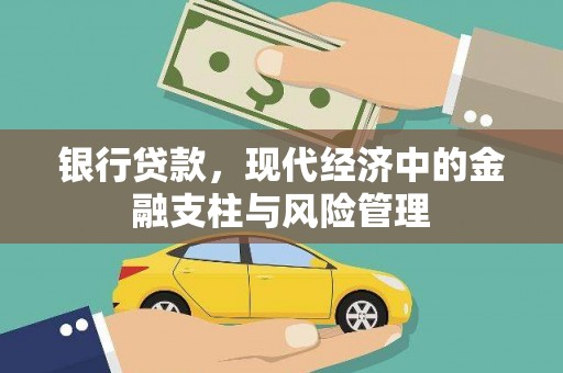 台西银行贷款，现代经济中的金融支柱与风险管理