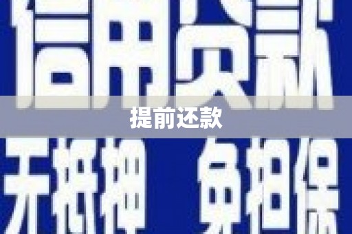 台西提前还款