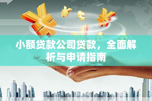 台西小额贷款公司贷款，全面解析与申请指南