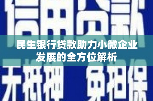 台西民生银行贷款助力小微企业发展的全方位解析