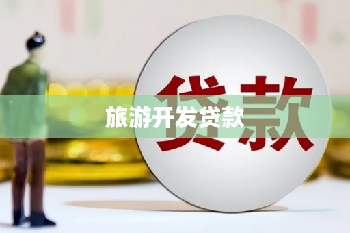 台西旅游开发贷款