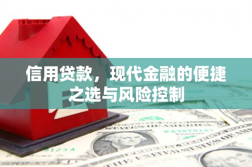 台西信用贷款，现代金融的便捷之选与风险控制