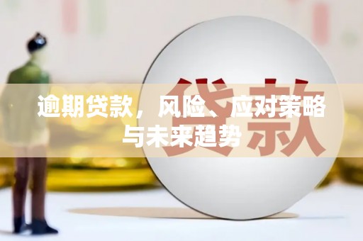 台西逾期贷款，风险、应对策略与未来趋势