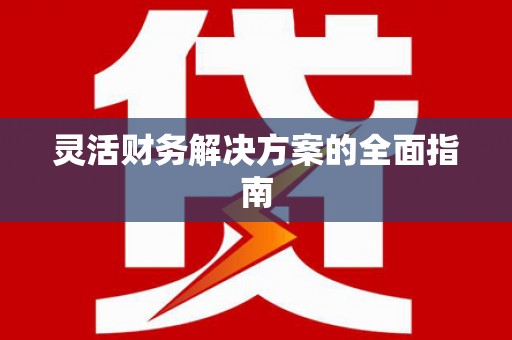 台西灵活财务解决方案的全面指南