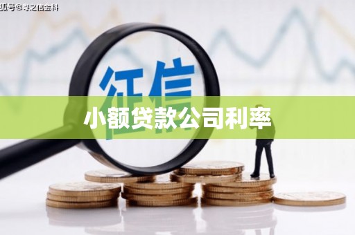 台西小额贷款公司利率