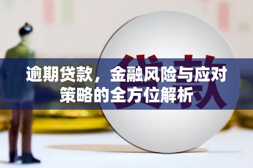 台西逾期贷款，金融风险与应对策略的全方位解析