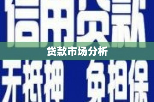 台西贷款市场分析