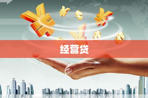 台西经营贷