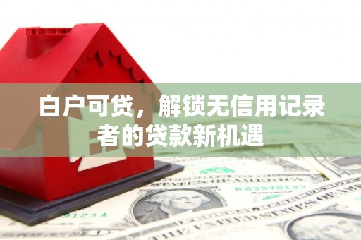 台西白户可贷，解锁无信用记录者的贷款新机遇