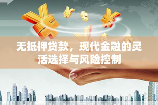 台西无抵押贷款，现代金融的灵活选择与风险控制