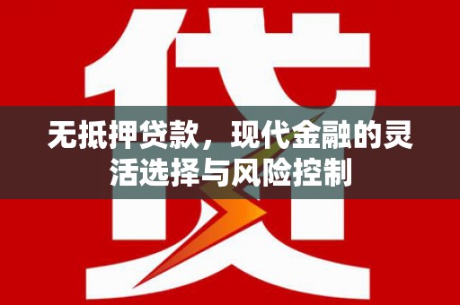 台西无抵押贷款，现代金融的灵活选择与风险控制