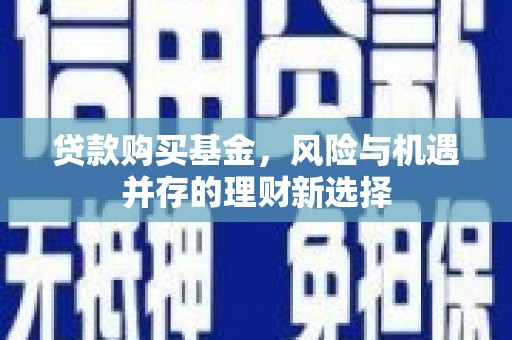 台西贷款购买基金，风险与机遇并存的理财新选择