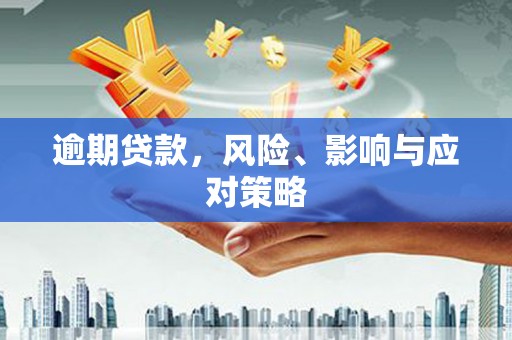 台西逾期贷款，风险、影响与应对策略