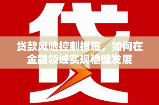 台西贷款风险控制措施，如何在金融领域实现稳健发展