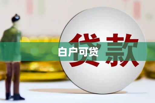 台西白户可贷