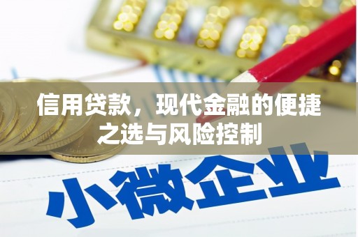 台西信用贷款，现代金融的便捷之选与风险控制