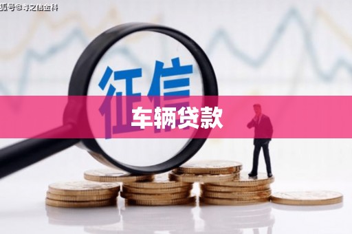 台西车辆贷款