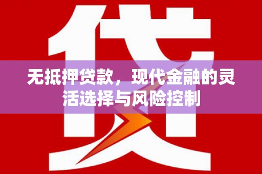 台西无抵押贷款，现代金融的灵活选择与风险控制