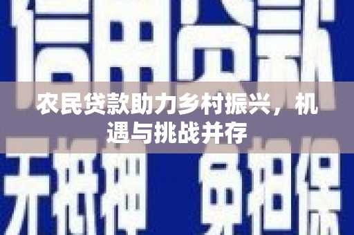 台西农民贷款助力乡村振兴，机遇与挑战并存