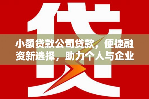 台西小额贷款公司贷款，便捷融资新选择，助力个人与企业成长