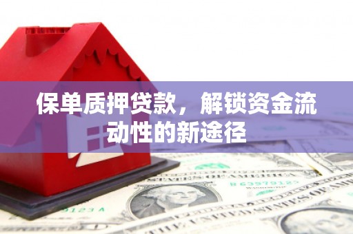 台西保单质押贷款，解锁资金流动性的新途径