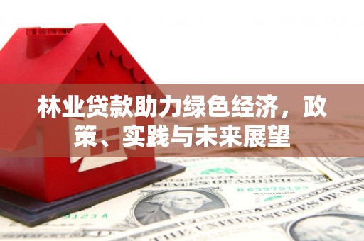 台西林业贷款助力绿色经济，政策、实践与未来展望