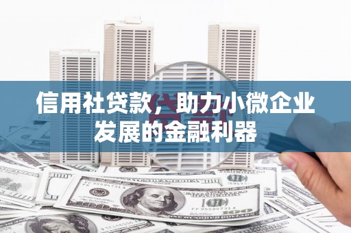 台西信用社贷款，助力小微企业发展的金融利器