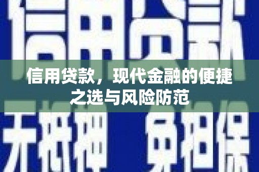 台西信用贷款，现代金融的便捷之选与风险防范