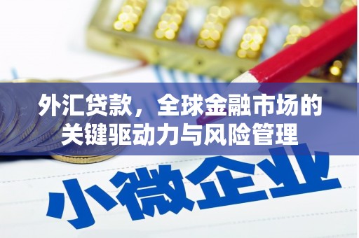 台西外汇贷款，全球金融市场的关键驱动力与风险管理