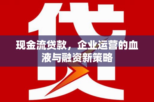 台西现金流贷款，企业运营的血液与融资新策略
