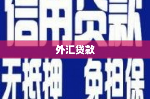 台西外汇贷款