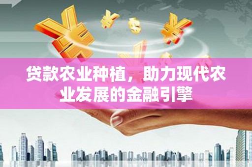 台西贷款农业种植，助力现代农业发展的金融引擎