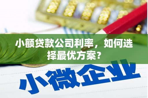 台西小额贷款公司利率，如何选择最优方案？