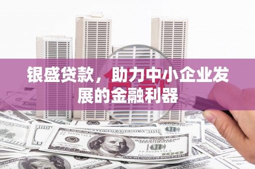 台西银盛贷款，助力中小企业发展的金融利器