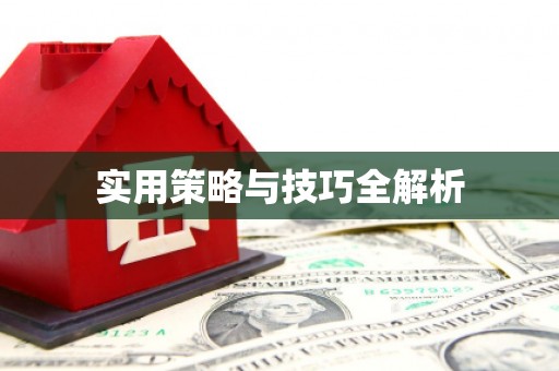 台西实用策略与技巧全解析