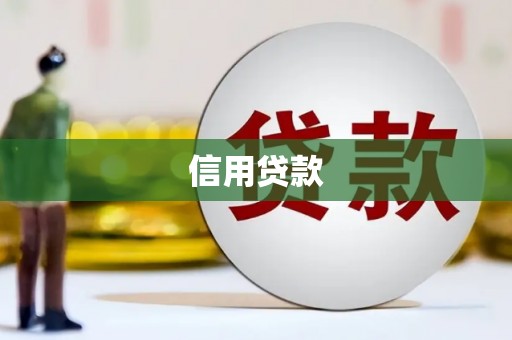 台西信用贷款