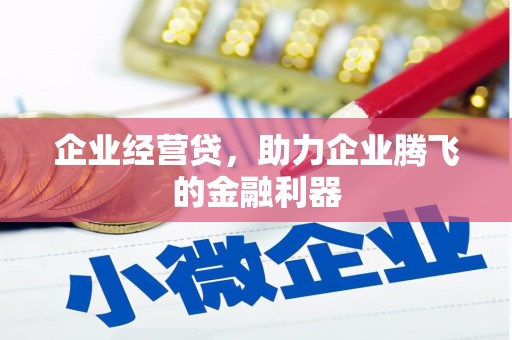 台西企业经营贷，助力企业腾飞的金融利器