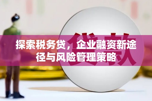 台西探索税务贷，企业融资新途径与风险管理策略