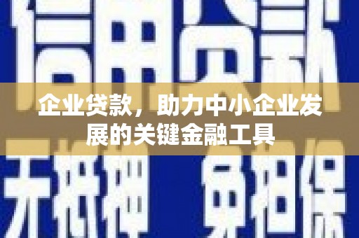 台西企业贷款，助力中小企业发展的关键金融工具