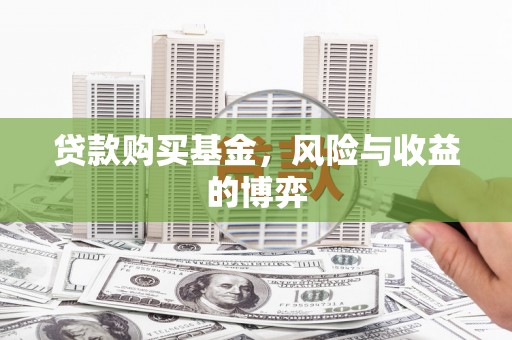 台西贷款购买基金，风险与收益的博弈