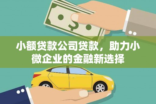 台西小额贷款公司贷款，助力小微企业的金融新选择