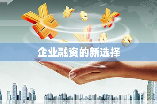 台西企业融资的新选择