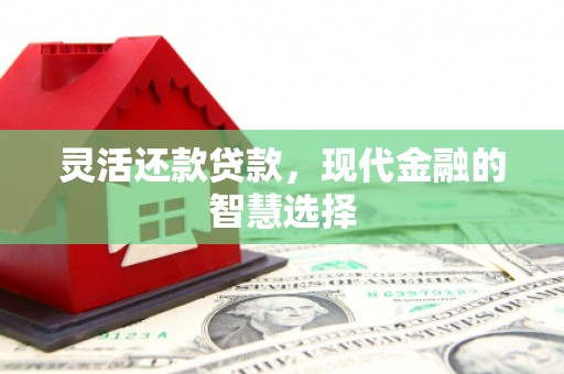 台西灵活还款贷款，现代金融的智慧选择
