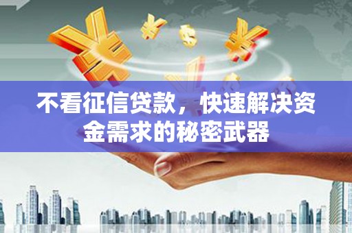 台西不看征信贷款，快速解决资金需求的秘密武器