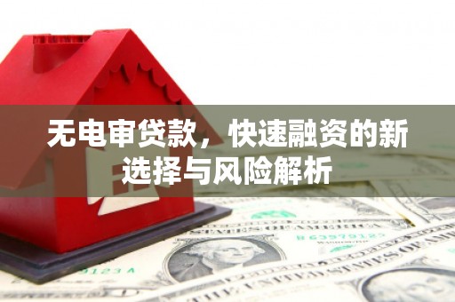 台西无电审贷款，快速融资的新选择与风险解析