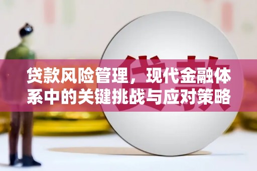 台西贷款风险管理，现代金融体系中的关键挑战与应对策略